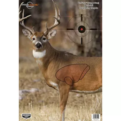 Birchwood Casey Pregame Target | Target With Visible Vitals | Deer,16.5×24 | 3 Targets | BC-35401