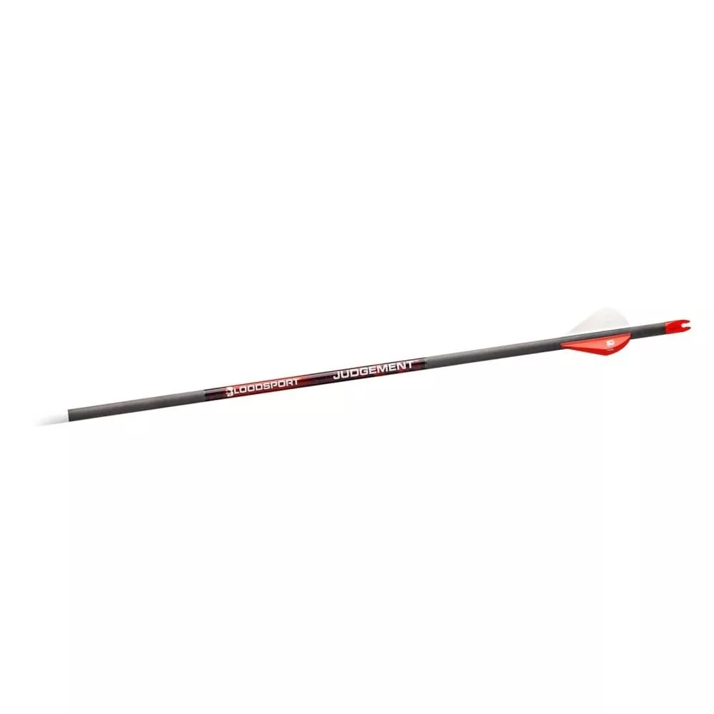 Bloodsport Judgement Arrow 300 Spine 6/pk