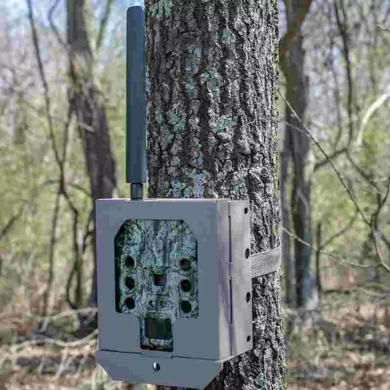 Bushnell Camera Security Box For (Cellular) CelluCore Models SD – Tan