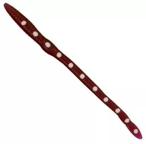 Creme Scoundrel 6" 3pk Purple/White Dots