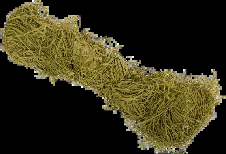 Drake Waterfowl Raffia Grass in Light Olive