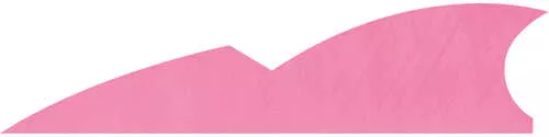 Gateway Batwing Feathers Flo Pink 2 in. LW 50 pk.
