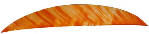 Gateway Magnum Feathers Tre White/Orange 5.5 in. RW 50 pk.