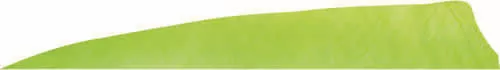 Gateway Shield Cut Feathers Chartreuse 4 in. RW 50 pk.