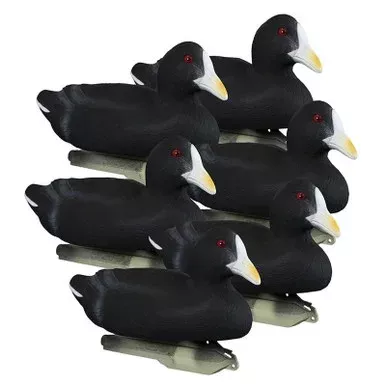 Higdon Outdoors Standard Coot Decoys, 6-Pack
