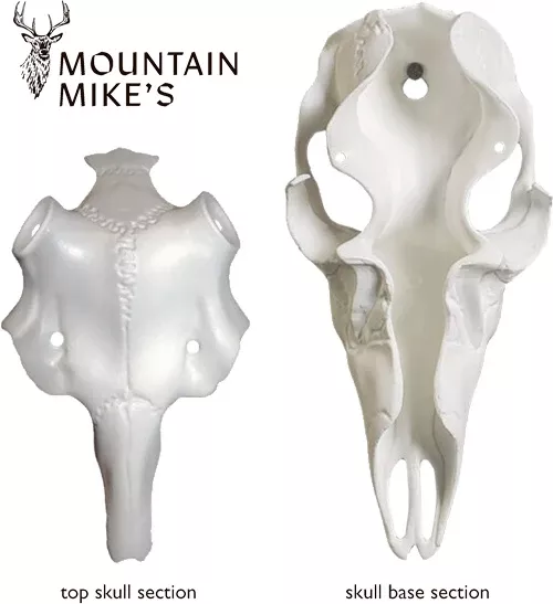 "Master Univ Kit for 3"-5" Antlers - Mountain Mike's Deer Skull"