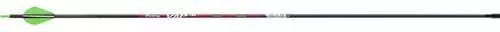 Victory VAP Sport Arrows 300 Raptor Vanes 6 pk. Model: VAPS-300FQ-6