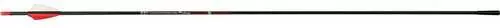 Victory VAP SS Sport Arrows 350 2 in. Vanes 6 pk.