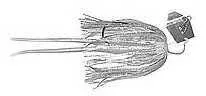 Z-Man / Chatterbait Bait 3/8 Ounce Shad/Blue Glimmer Lure Md: CB38-07
