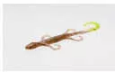 Zoom 6" Lizard 9bg-pmpknsd/ct
